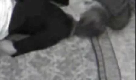 بسيطة الجمال يلعب في أفلام الكبار افلام سكس مترجم العربي