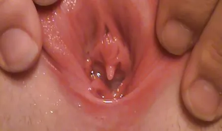 السرطان في سيارة أجرة هو شيء! افلام سكس مشاهير ايطالي